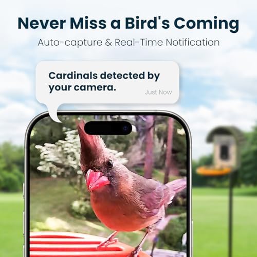 Smart Bird Feeder with Camera, Green