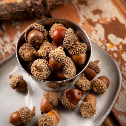 30 Pcs Natural Dried Acorn, Small Acorns Ornaments Vase Fillers for DIY Crafts, Christmas Thanksgiving Decorative House Fall Winter Holiday Home Decor