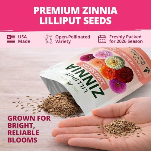 HOME GROWN Zinnia Seeds, Lilliput Mix, 2,500 Seeds, Zinnia elegans