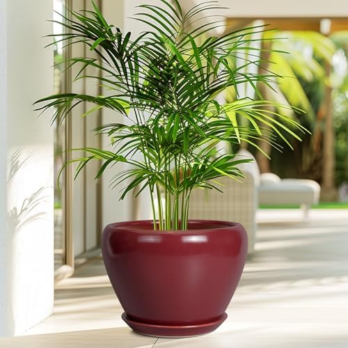 Ceramicfor 10 Inch Plant Pot, Ceramic Planter, Red