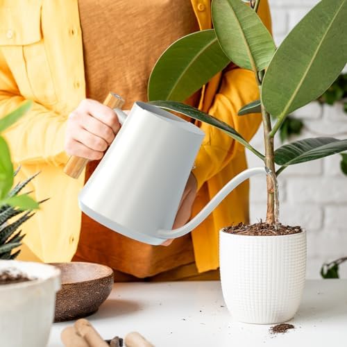Green Moon 1L/35oz Metal Watering Can Indoor with Long Spout, White