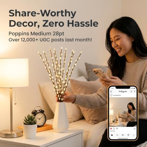 DK177 1Pack Warmlight + 1Pack Whitelight Led Branch Light Battery Operated Lighted Branch Vase Filler Willow Tree Artificial Little Twig Power Brown 30 Inch 20 LED for Home Decoration