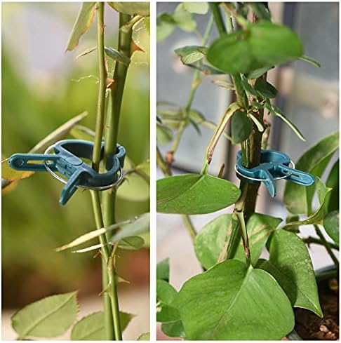 PERSZEN Plant Support Clips, 80 PCS Gentle Flower Plant Clamps for Supporting Vine Climbing Plants, Gardening Lever Loop Gripper Clips Help Stems Vines Grow Straight Upright, 2 Sizes in one Pack