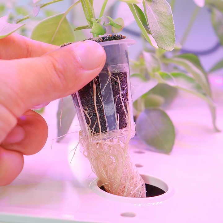 Indoor Hydroponic Growing System with LED Light, Wooden Top Cover, Touch Control, White Base