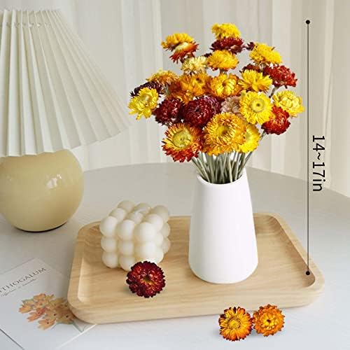 40 Pcs Dried Daisy Flower Bouquet, 17" Multicolor Fall Flowers, Vase Filler
