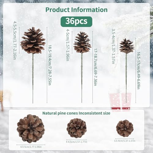 36 PCS Pine Cones 3 Sizes Christmas Pine Cones with Green Picks Pinecone Ornaments for Christmas Tree Wreath Garland Crafts Thanksgiving Fall Home Decor