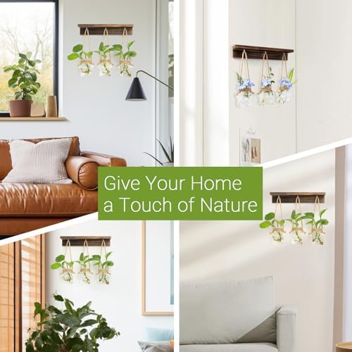 XXXFLOWER Wall Hanging Propagation Station with 3 Star-Shaped Glass Vase