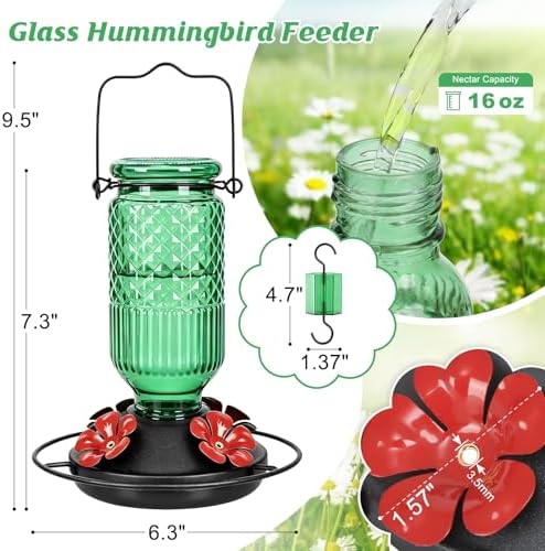 FEED GARDEN Glass Hummingbird Feeder, 16oz Outdoor Hanging Bird Feeder with Ant Moat, 4 Bee-Proof Feeding Ports, 360° Perch, Leak-Proof, Green