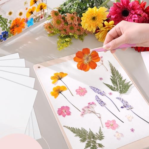 Aboofx 100 Sheets Blotting Paper for Flower Press