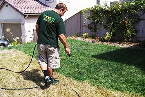 1-gallon ready to use grass paint, shake and spray pro with electric sprayer wand. No more messy mixing. Instantly
