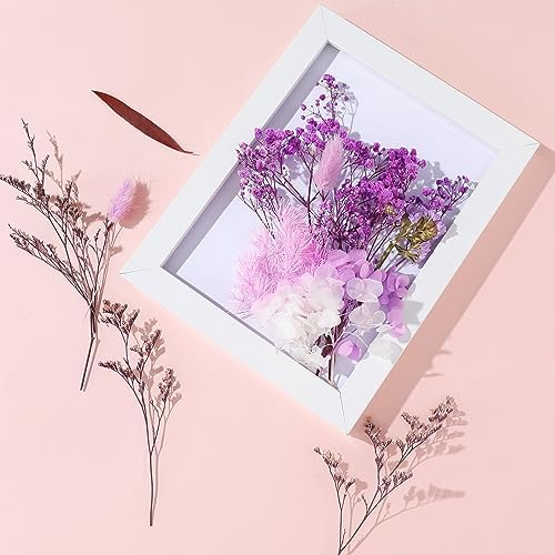 Real Dried Flowers, Natural Dry Flowers Mixed Natural Pressed Flowers Flores Secas Dried Florals for Crafts,Resin,Candle Making (Purple)