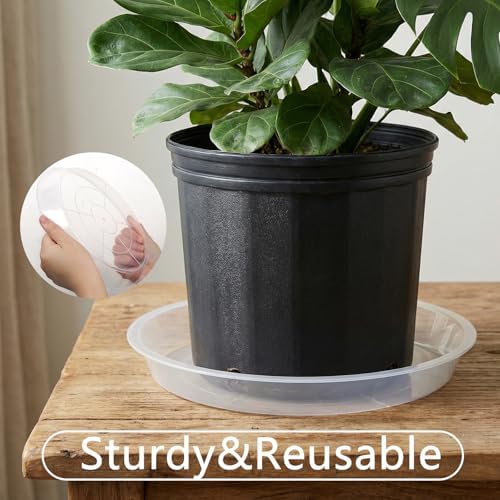 6Pack Plant Saucer, 3 5 7 9 11 13 15 17 19 21 in Plastic Plant Tray