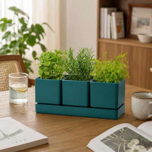 D'vine Dev Plastic Herb Garden Planter Set, Green, 76-V-C-1
