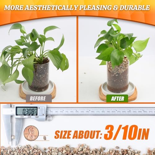 AVALUTION 3QT Vermiculite - Organic Vermiculite for Plants Horticultural Coarse Vermiculite Natural Soil Additive for Potted Plants Gardening Mushrooms Seed Starting