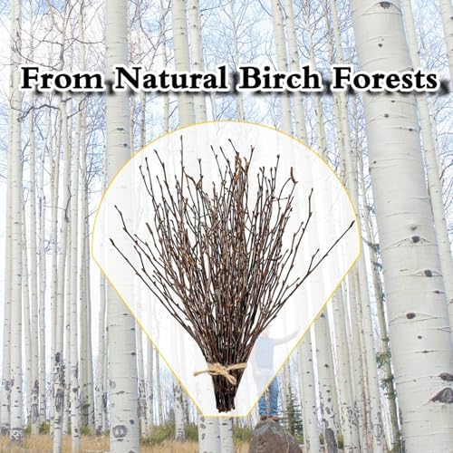 17 Inch Natural Birch Branches Dried Birch Twigs Wreath Making Supplies Dried Plants for Rustic Home Decor Easter Stems Vase Filler DIY Crafts Vases Tall Wreath Christmas Decoration Wedding (30Pcs)