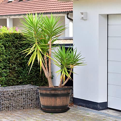 Quarut Large Plastic 3 Pack16 inch Plant Pots,Whiskey Barrel Planters with Drainage Holes & Saucer.Flower Pots Imitation Wine Barrel Design for Indoor & Outdoor Garden Balcony Plants.7 Gallons(Brown)
