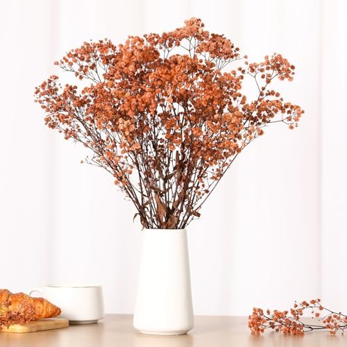 3200+ Babys Breath Dried Flowers Bouquet, 17" Brown for Fall Vase Decor