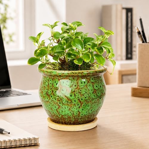 4.5 Inch Plant Pots, Small Pots for Plant Indoor, Succulent Pots with Tray