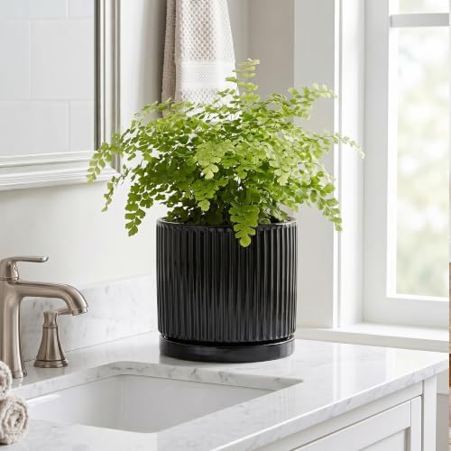 8 Inch Planter, Ceramic Pots for Plants, Round Plant Pot, Black