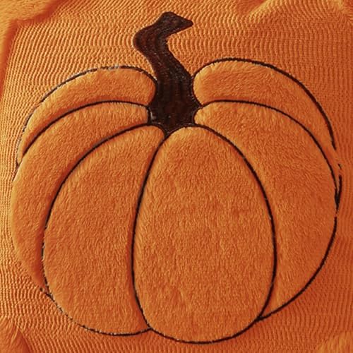 Allorry Fall Pillow Covers 16x16 2 Pack Orange Pumpkin Home Decor PT010B16