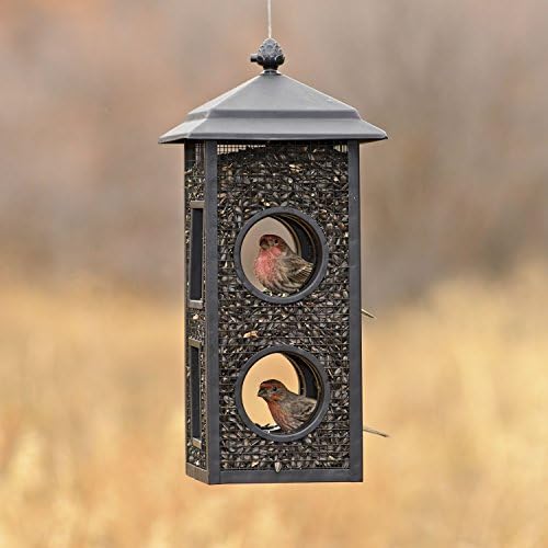 Perky-Pet Fly-Thru Wild Bird Feeder, 2 lb Seed Capacity