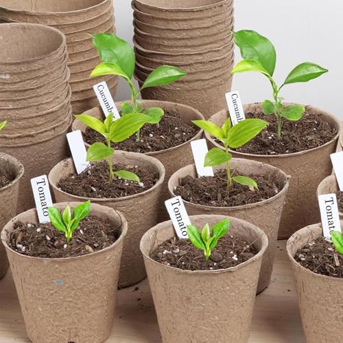 300 Pack Plant Labels, 4 Inch Potted Plant Name Tags Plastic, White