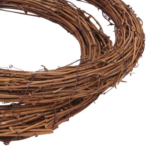 8 PCS Natural Grapevine Wreaths - 10 Inch Beautiful Vine Branch Wreath, Rattan Wreath, Grapevines Wreath Bulk, Ideal for DIY Crafts and Christmas Decorations, Ideal for Outdoor and Indoor Use