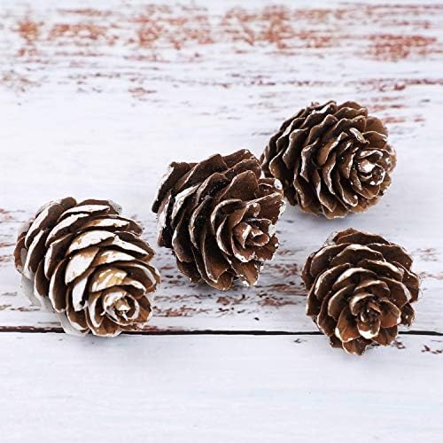 Cooraby 85 Pieces Micro-mini Snow Pine Cones Christmas Snow Pine Cones Ornaments for Home Decoration, Fall and Christmas Crafts