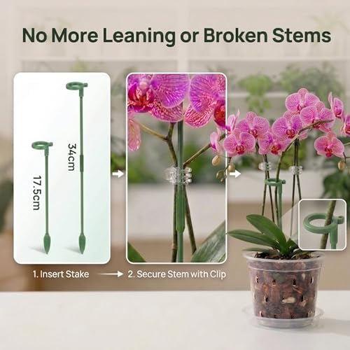 Orchid Pot -6 Pack 7 Inch Orchid Pots with Holes and Saucers, Clear Plastic Plant Pots with 8 Support Stakes and Clips, Orchid Repotting Kit for Indoor Plants (7 Inch)