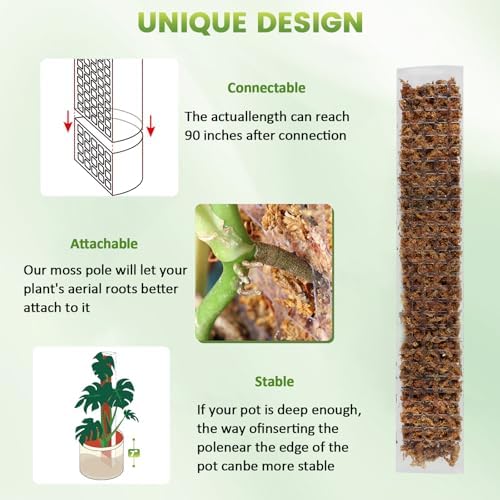 EOX Plastic Moss Pole for Monstera and Climbing Plants, 48-Inch, 2-Pack
