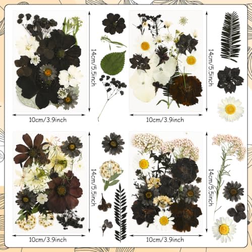 Augshy Halloween Black Pressed Dried Flowers for Resin Molds Crafts