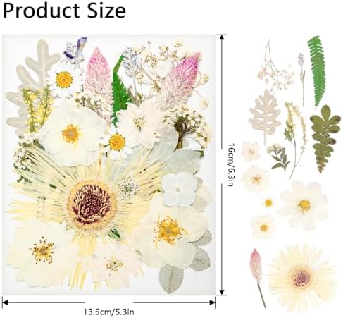 50Pcs Dried Pressed Flowers Real Pressed Flowers Natural Dry Leaves Bulk Mixed Colorful Herbs Kit with Tweezers for Scrapbooking DIY Candle Jewelry Crafts Making Nails (White)