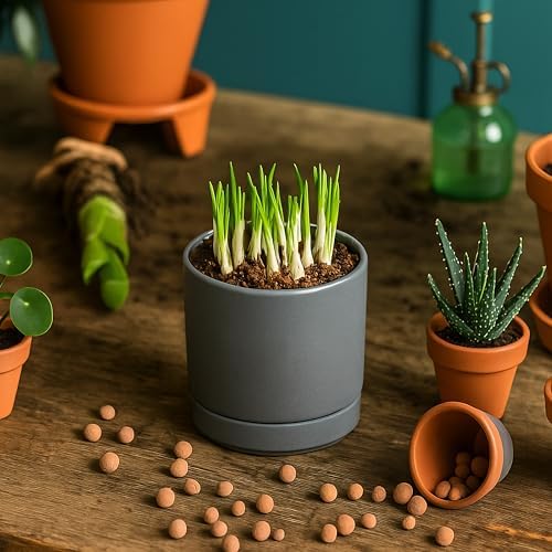 D'vine Dev 3.5 Inch Ceramic Planter Pot, Grey, 94-O-A-3