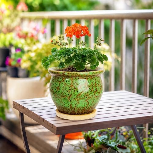 4.5 Inch Plant Pots, Small Pots for Plant Indoor, Succulent Pots with Tray