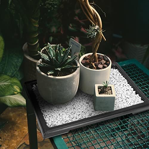 Pinkunn 6 Pcs Bonsai Humidity Tray for Indoors and Outdoor Rectangular Drip