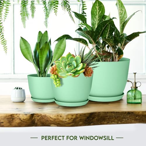 Plant Pots Indoor with Drainage, 10 Pack Multi-Size Planters Set, Mint