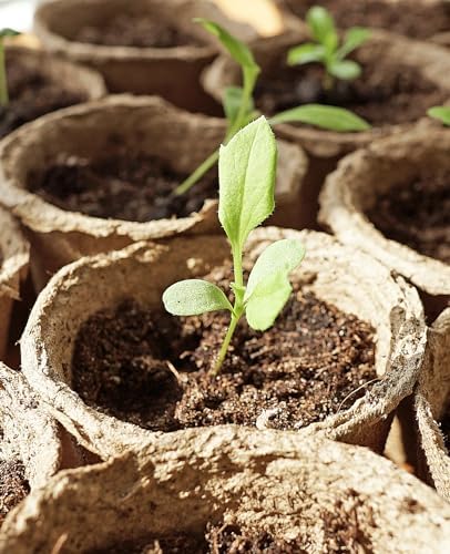 homenote 30 Pcs 4 Inch Peat Pots,Nursery Plant Pots,Seed Starting Pots