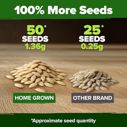 HOME GROWN Persian Cucumber Seeds, 50+ Seeds, Cucumis sativus
