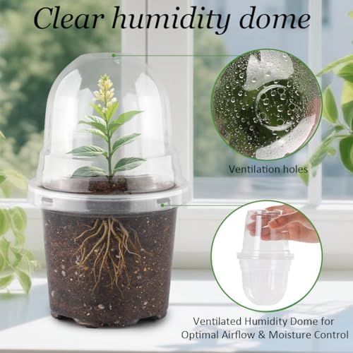RooTrimmer Transparent Nursery Pots 4Inch with Humidity Domes for Seeds Starting, Clear Plastic Plant Pots with Drainage Holes (4Inch, 30Pcs,Clear Pots with Lids)