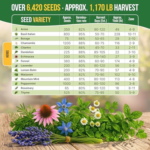 Organo Republic 15 Medicinal & Tea Herb Seeds Variety Pack 6,420+ Non-GMO Heirloom Garden Seeds for Indoor & Outdoors, Including Anise, Borage, Cilantro, Chamomile, Dandelion, Rosemary Seeds