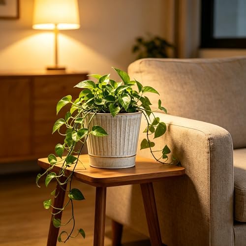 Hosley Metal Planters 7" Dia x 6" H Ideal Farmhouse Decor for Floral Arrangements Weddings, Gift Special Events Parties Outdoor Planters White wash