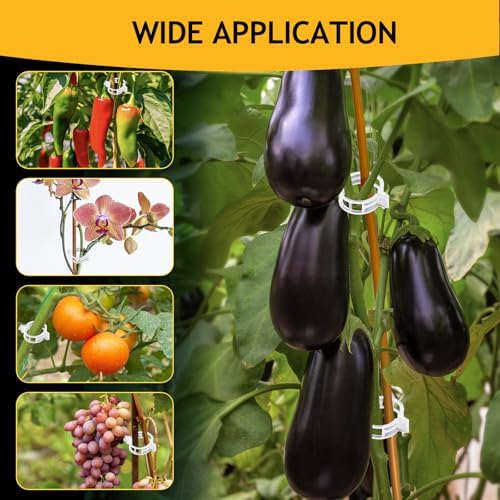200Pcs Secured Plant Support Clips - Tomato Clips for String Trellis, Grape Vine Grid Clamp for Garden Netting Climbing Plants, Fixing Stem and Vine (White)