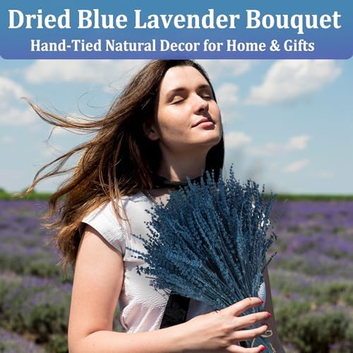 350 Stems Dried Blue Lavender Flowers for Vase Home Wedding DIY Decor