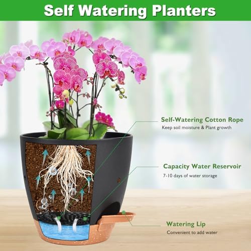 Vanslogreen 6 Inch Orchid Pots with Holes, 2 Pack Self Watering Planters for Orchids Plastic Orchid Pot Plant Flower Pots for Orchids Indoor Outdoor (Black with Brown)