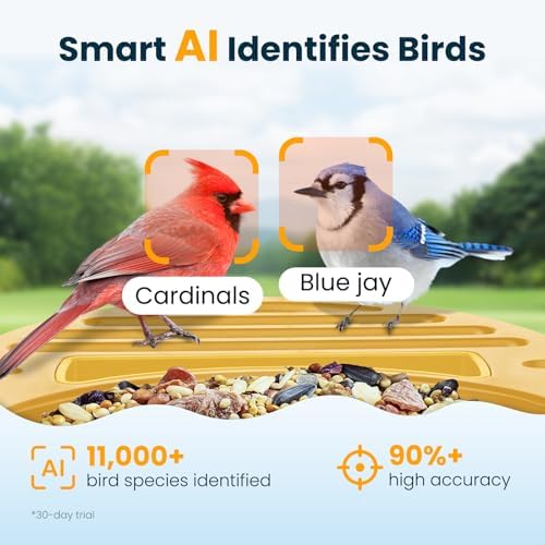 Smart Bird Feeder with Camera, Yellow