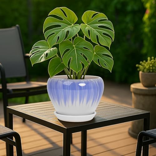 Deep Dream 8 Inch Plant Pots- Ceramic Pots for Plants with Drainage Hole and Saucer, Large Planter Pot for Indoor Plants Outdoor Decor, White&Blue