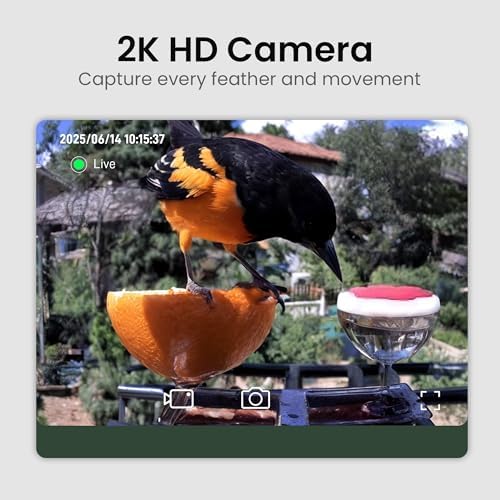 Smart Bird Feeder with Camera Solar Powered 2K HD Video, 10,000+ Species AI Recognition, Real-Time App Alerts, and Weatherproof Design for Effortless Birdwatching, Gift for Bird Lovers, Brown