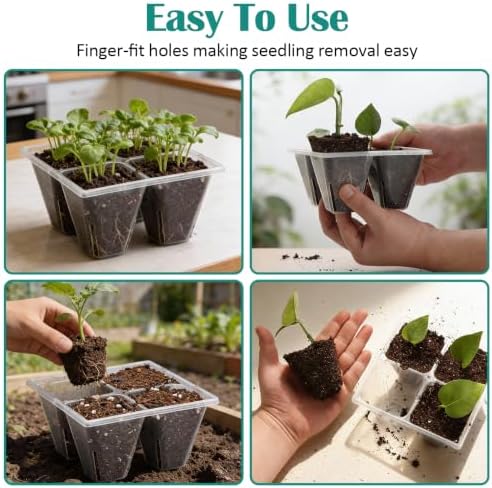 RooTrimmer 80 Pack Reusable 4-Cell Clear Seed Starter Trays - Extra Large Drainage Holes, Easy Transplant, Clear Transparent Tray for Root Observation, Seed Starting, Fits Standard 1020 Flats