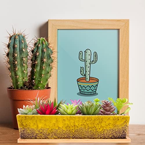 Succulent Pots - 12.1 Inch Large Succulent Planters Pots with Drainage Tray