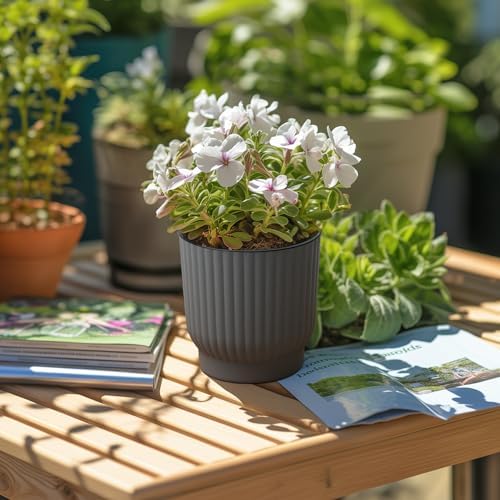 T4U Self Watering Pots for Indoor Plants, 4 Inch 6 Pack Planter Gray